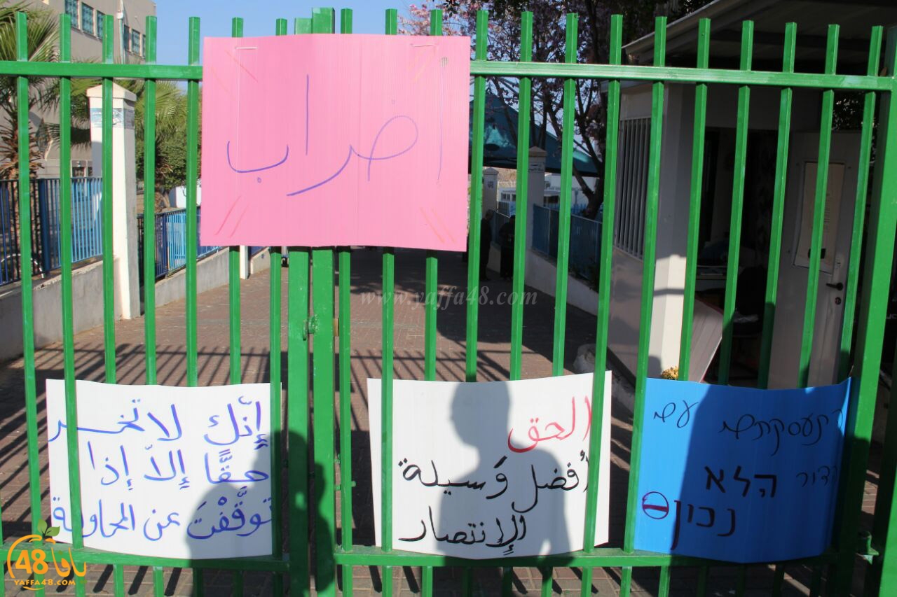 idrab shamela (21).jpg